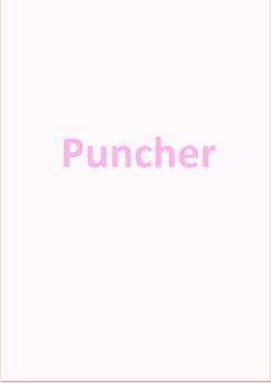 Puncher