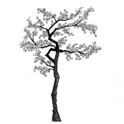 Cherry Blossom Tree LAV015