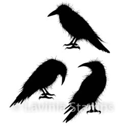 Crow Set LAV540