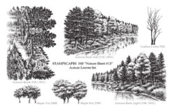 Nature Sheet 13