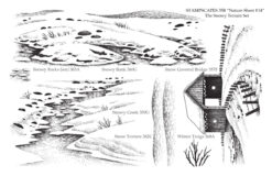 Nature Sheet 14
