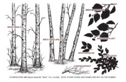 Nature Sheet 27