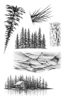 Nature Sheet 6