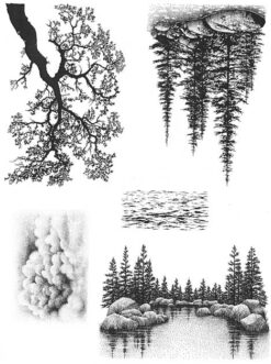Nature Sheet 8