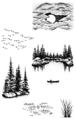 Nature Sheet 9